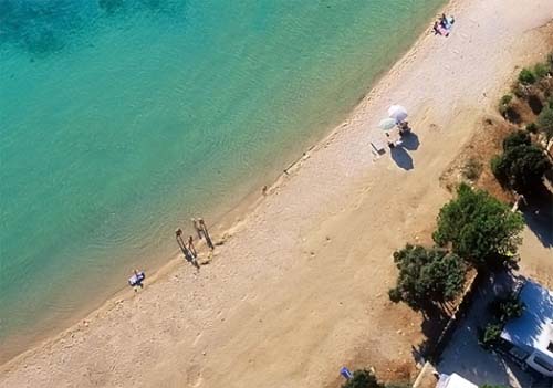 Simuni Dalmatien - Pag visuel 6/7