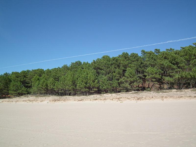 Soleil Levant Poitou-Charentes - Meschers-sur-Gironde visuel 9/9