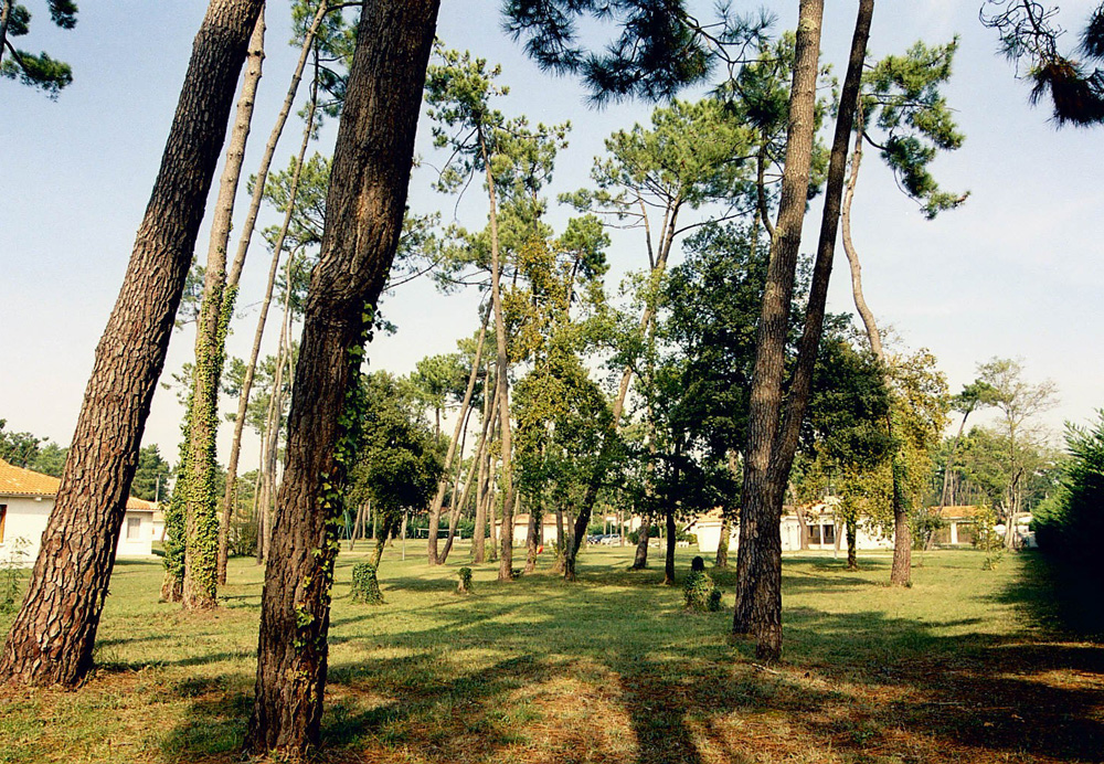 Sous Les Pins Poitou-Charentes - La Tremblade visuel 7/10