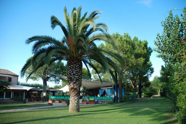 Spinnaker Schritte - Fermo visuel 2/11