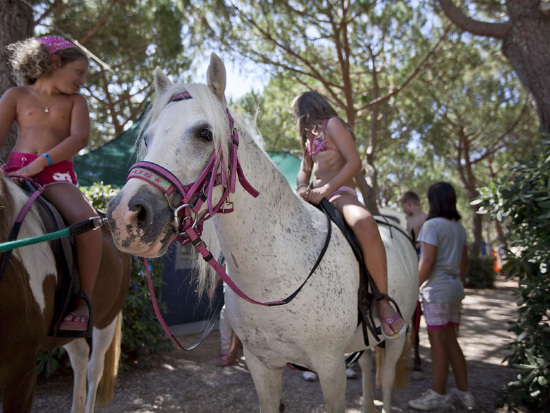 Stella del Mare Toskana - Castiglione della Pescaia visuel 8/11