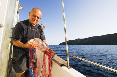 Tenuta delle Ripalte Toskana - Capoliveri visuel 9/9