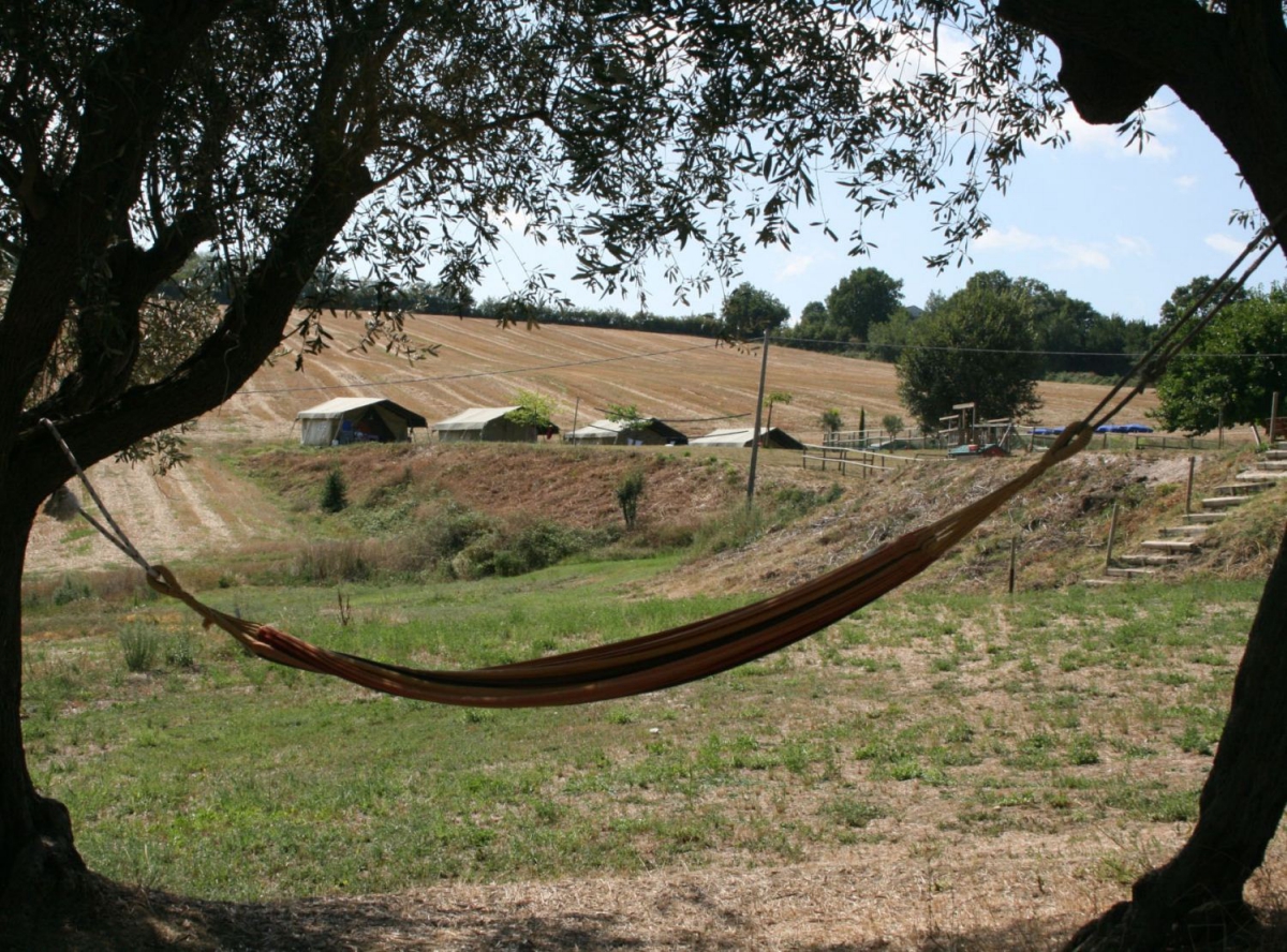 Tenuta Tredici Olivi Schritte - Senigallia visuel 2/5
