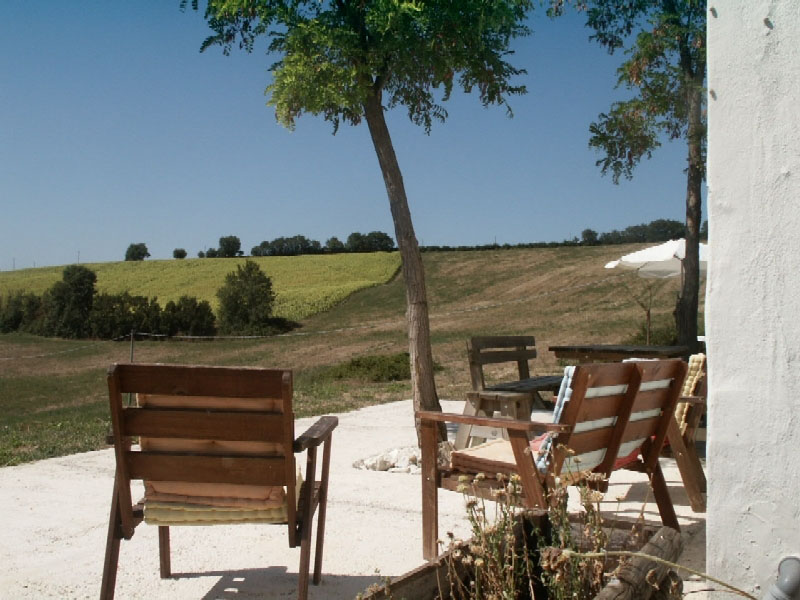 Tenuta Tredici Olivi Schritte - Senigallia visuel 4/5