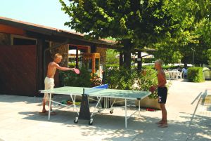 Tiglio Lombardei - Sirmione visuel 5/10