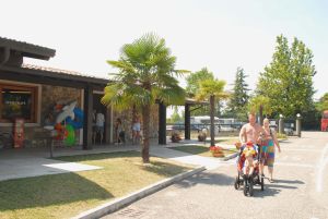 Tiglio Lombardei - Sirmione visuel 8/10