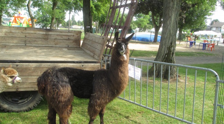 Touristique de Gien Großes Zentrum - Gien visuel 7/9 Touristique de Gien Großes Zentrum - Gien visuel 7/9