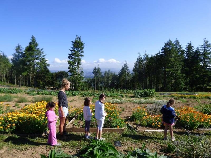 Ty Provost Bretagne - Dinéault visuel 4/7 Ty Provost Bretagne - Dinéault visuel 4/7