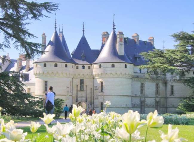 Val de Blois Großes Zentrum - Vineuil visuel 3/4 Val de Blois Großes Zentrum - Vineuil visuel 3/4
