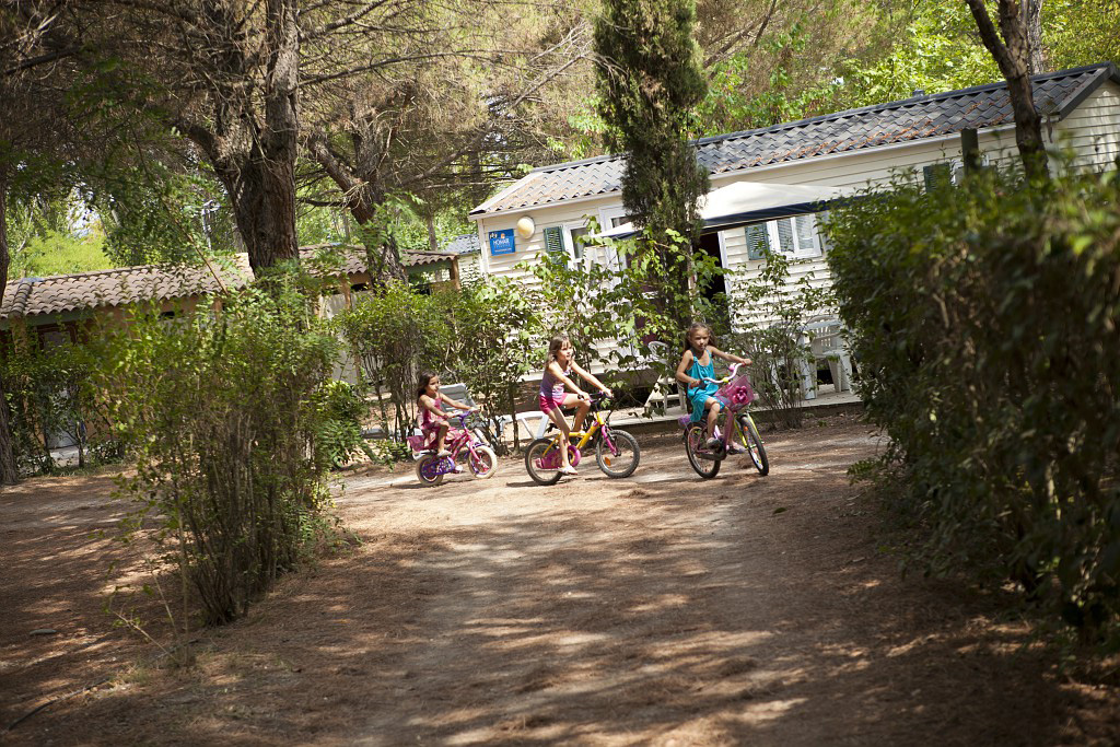 Val de Durance Provence-Alpes-Côte d'Azur - Cadenet visuel 12/18