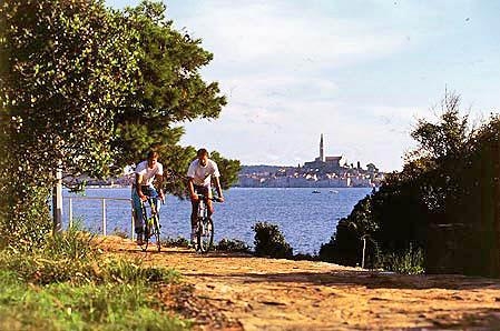 Valdaliso Istrien - Rovinj visuel 8/9