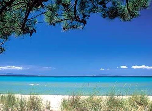 Vallicella Toskana - Scarlino visuel 9/10