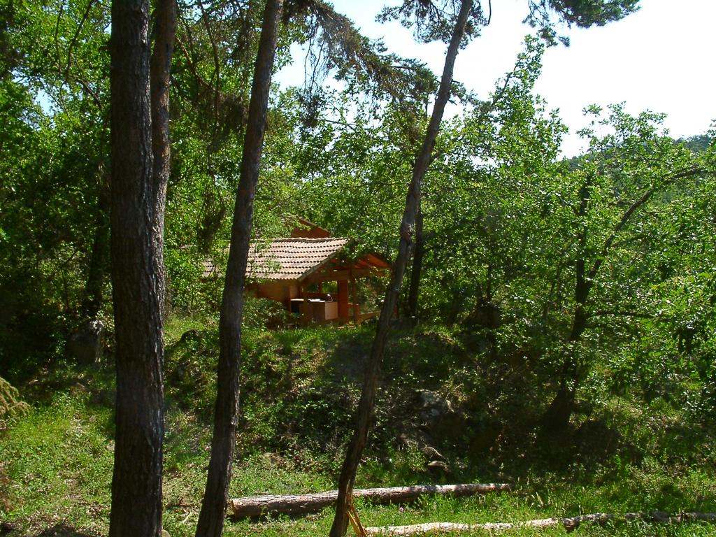 Valsaintes Provence-Alpes-Côte d'Azur - Simiane-la-Rotonde visuel 8/10 Valsaintes Provence-Alpes-Côte d'Azur - Simiane-la-Rotonde visuel 8/10