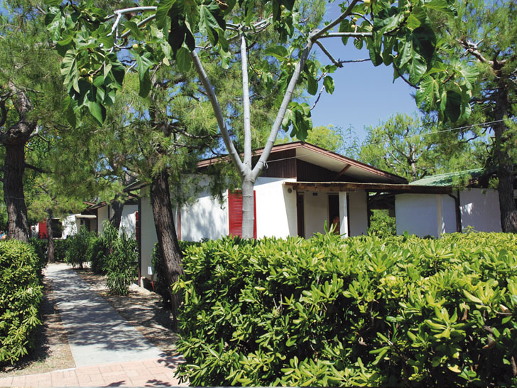 Verde Mare Schritte - Fermo visuel 3/11