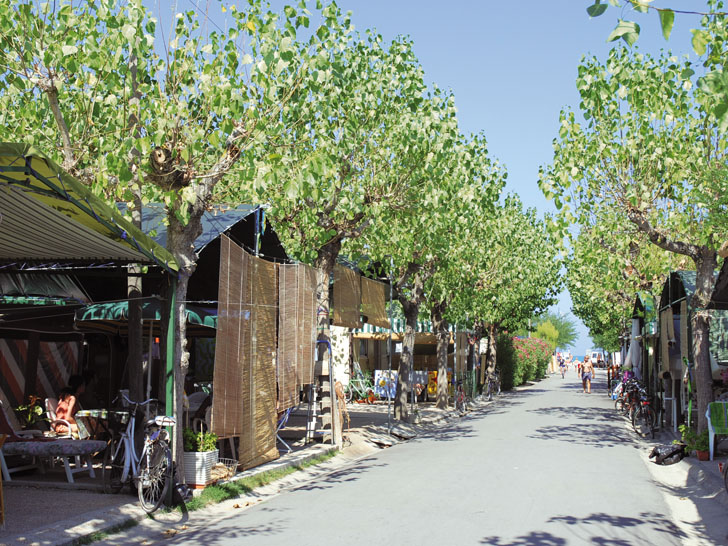 Verde Mare Schritte - Fermo visuel 5/11
