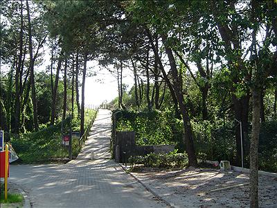 Viana do Castelo Norte - Viana do Castelo visuel 5/7