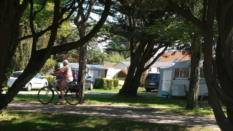 Vieux Chateau Das Loire-Gebiet - Saint-Michel-Chef-Chef visuel 2/8 Vieux Chateau Das Loire-Gebiet - Saint-Michel-Chef-Chef visuel 2/8