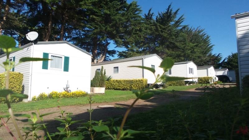 Vieux Chateau Das Loire-Gebiet - Saint-Michel-Chef-Chef visuel 4/8 Vieux Chateau Das Loire-Gebiet - Saint-Michel-Chef-Chef visuel 4/8