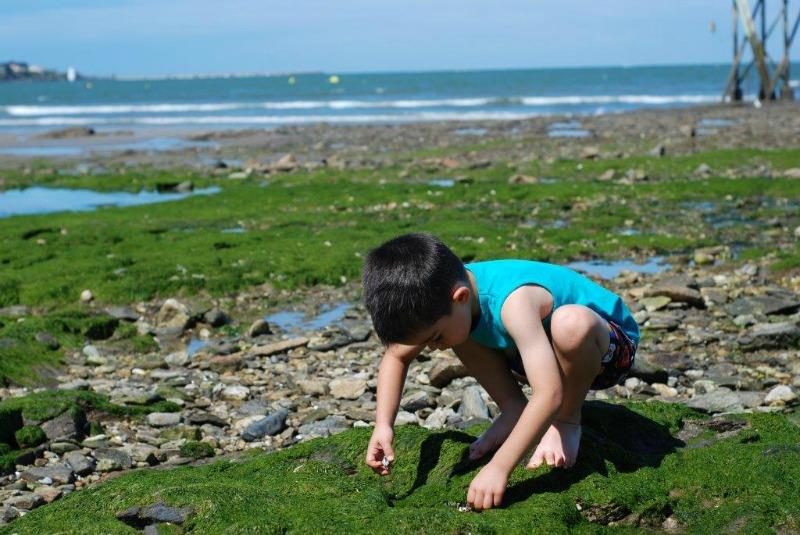 Vieux Chateau Das Loire-Gebiet - Saint-Michel-Chef-Chef visuel 6/8 Vieux Chateau Das Loire-Gebiet - Saint-Michel-Chef-Chef visuel 6/8