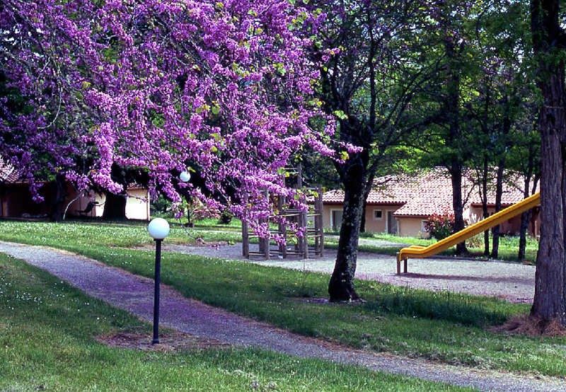 Village de Gites Chateau de Termes Midi-Pyrénées - Saint-Denis-lès-Martel visuel 3/9