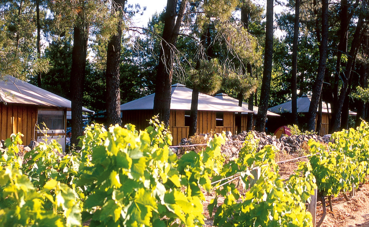 Village de vacances la Croix de Vinchannes Rhône-Alpen - Joyeuse visuel 5/10 Village de vacances la Croix de Vinchannes Rhône-Alpen - Joyeuse visuel 5/10