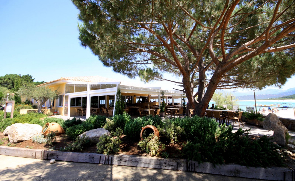 Village de vacances U Livanti Korsika - Belvédère-Campomoro visuel 6/10 Village de vacances U Livanti Korsika - Belvédère-Campomoro visuel 6/10