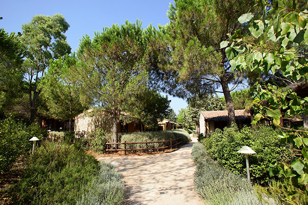 Village Rocchette Toskana - Castiglione della Pescaia visuel 39/62