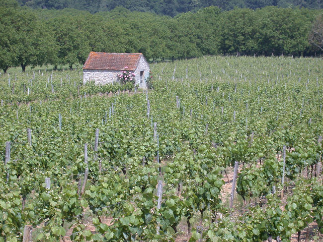 Village Vacances des Cigales Midi-Pyrénées - Mauroux visuel 10/10 Village Vacances des Cigales Midi-Pyrénées - Mauroux visuel 10/10