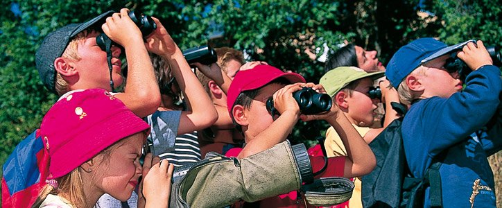Village Vacances La Bertholière Poitou-Charentes - La Bussière visuel 4/10 Village Vacances La Bertholière Poitou-Charentes - La Bussière visuel 4/10