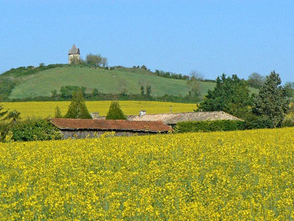 Village Vacances  La Forêt Poitou-Charentes - Montendre visuel 7/10 Village Vacances  La Forêt Poitou-Charentes - Montendre visuel 7/10