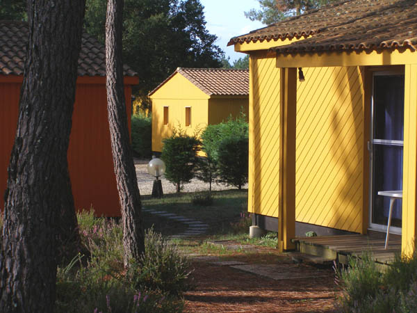 Village Vacances  La Forêt Poitou-Charentes - Montendre visuel 8/10 Village Vacances  La Forêt Poitou-Charentes - Montendre visuel 8/10