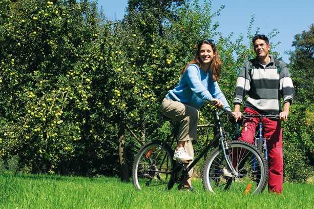 Village Vacances Le Milcipie Haute-Normandie - Forges-les-Eaux visuel 6/7