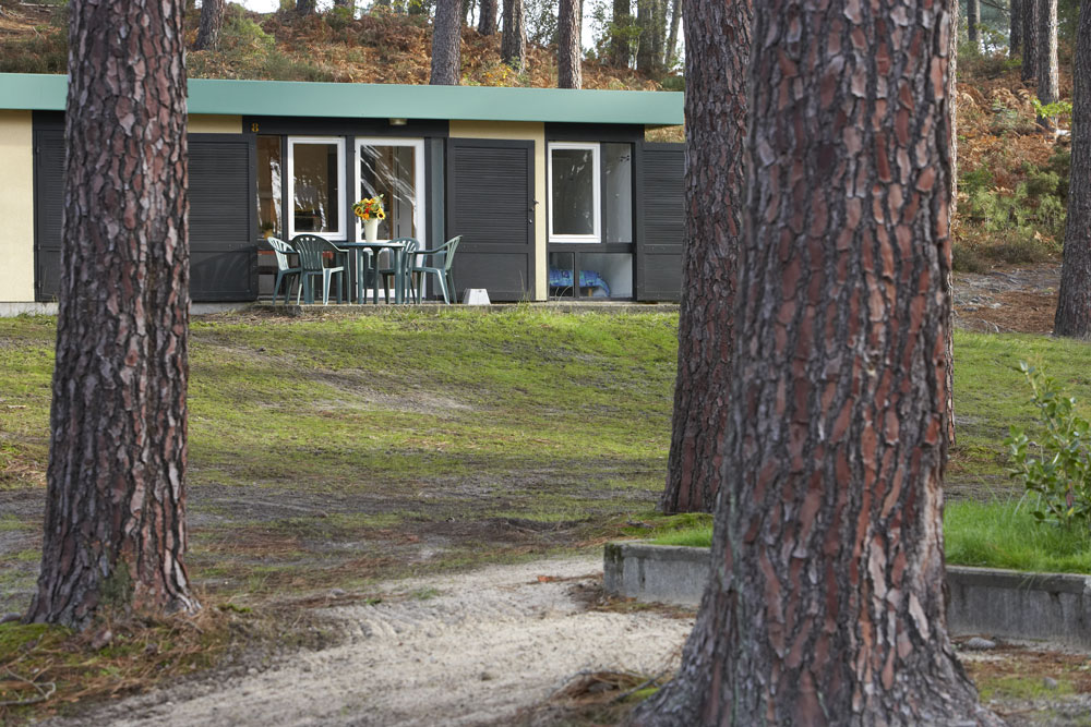 Village Vacances Les Genêts Aquitanien - Léon visuel 2/4