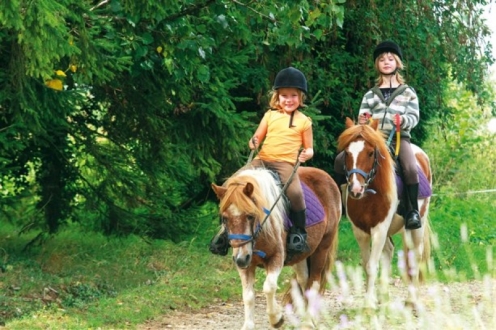 Village Vacances Les Hauts de Najac Midi-Pyrénées - Najac visuel 10/10