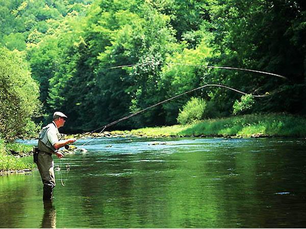 Village Vacances Les Logis de Sechemailles Limousin - Meymac visuel 10/10 Village Vacances Les Logis de Sechemailles Limousin - Meymac visuel 10/10