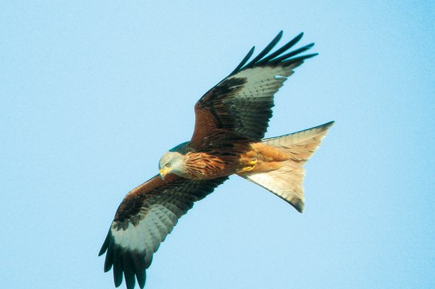 Villages Brusque Midi-Pyrénées - Brusque visuel 3/8 Villages Brusque Midi-Pyrénées - Brusque visuel 3/8