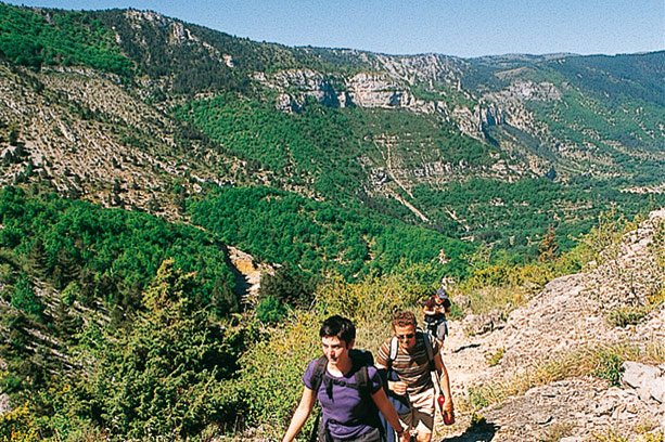 Villages Brusque Midi-Pyrénées - Brusque visuel 7/8 Villages Brusque Midi-Pyrénées - Brusque visuel 7/8
