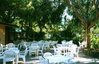 Villaggio dei Fiori Ligurien - San Remo visuel 4/10 Villaggio dei Fiori Ligurien - San Remo visuel 4/10