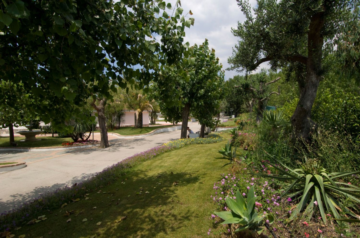 Villaggio Le Palme Kampanien - Ascea visuel 7/10