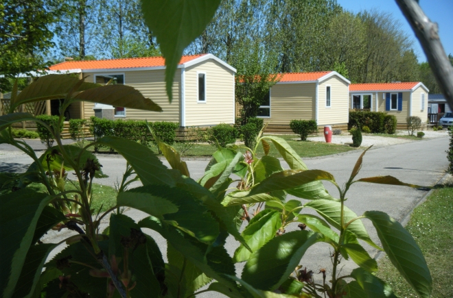 Vitamin Haute-Normandie - Saint-Aubin-sur-Scie visuel 9/11 Vitamin Haute-Normandie - Saint-Aubin-sur-Scie visuel 9/11