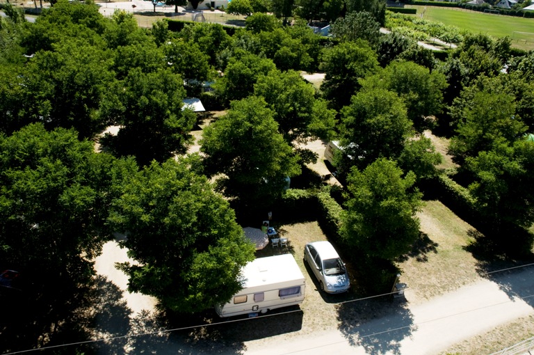 Voiles d'Anjou Das Loire-Gebiet - Les Rosiers sur Loire visuel 5/11 Voiles d'Anjou Das Loire-Gebiet - Les Rosiers sur Loire visuel 5/11