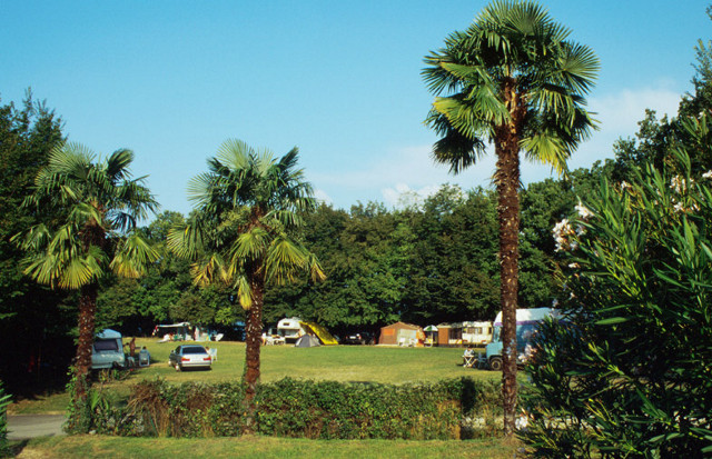 Zocco Lombardei - Manerba del Garda visuel 3/9 Zocco Lombardei - Manerba del Garda visuel 3/9