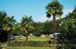 Zocco Lombardei - Manerba del Garda visuel 7/9 Zocco Lombardei - Manerba del Garda visuel 7/9