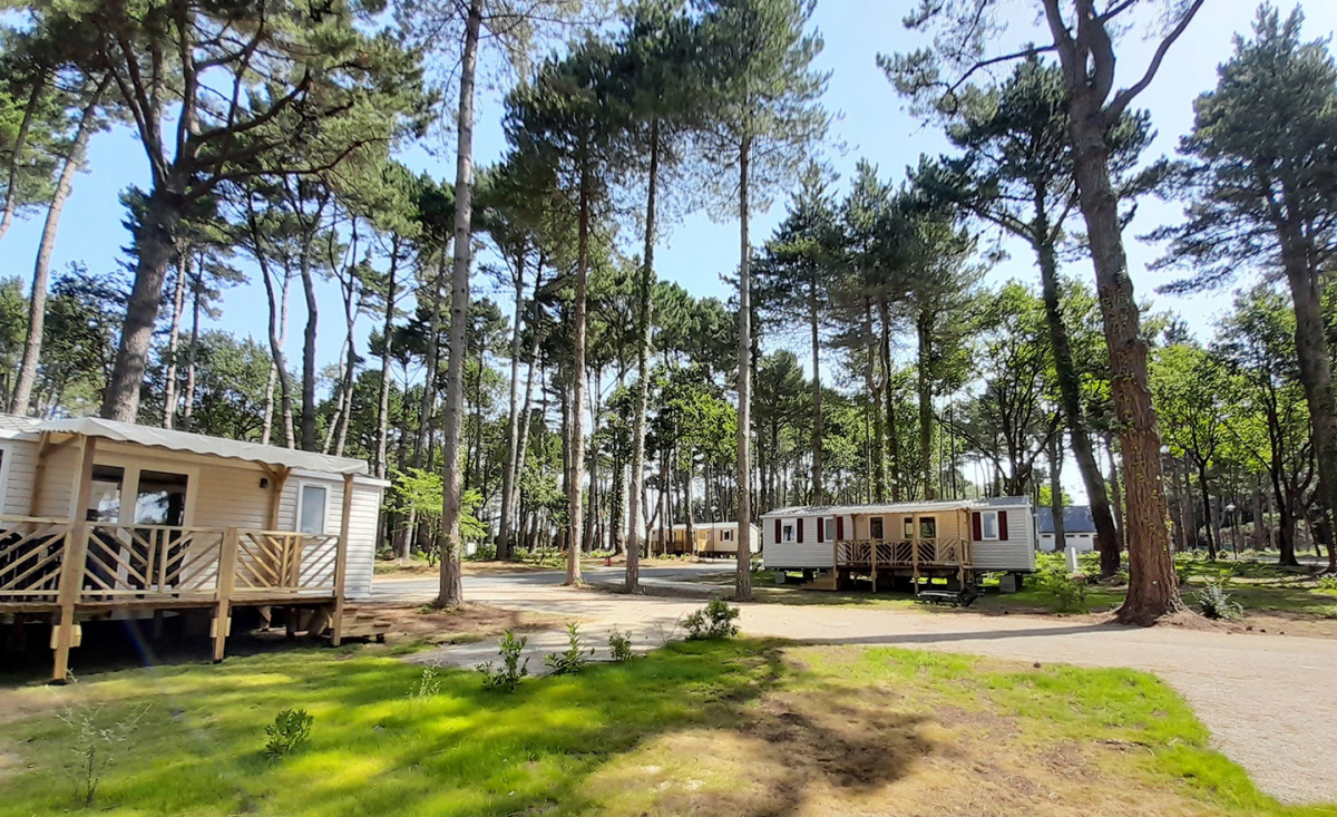 Bois de Bayadène Das Loire-Gebiet - Piriac-sur-Mer visuel 7/10 Bois de Bayadène Das Loire-Gebiet - Piriac-sur-Mer visuel 7/10