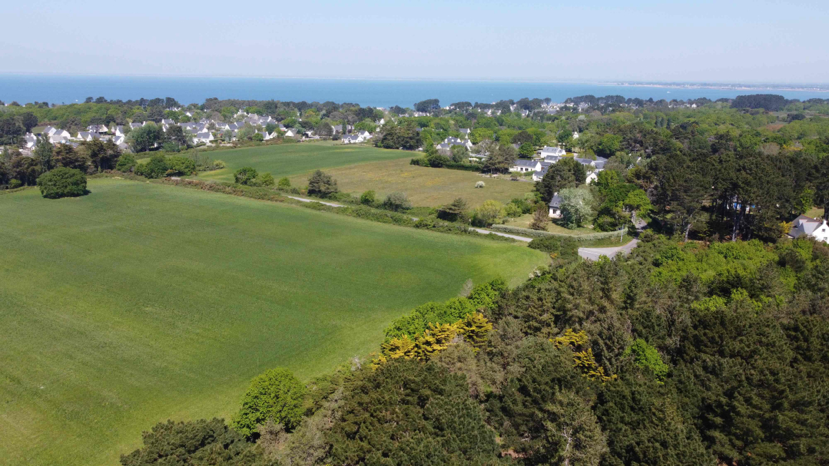 Bois de Bayadène Das Loire-Gebiet - Piriac-sur-Mer visuel 2/10 Bois de Bayadène Das Loire-Gebiet - Piriac-sur-Mer visuel 2/10