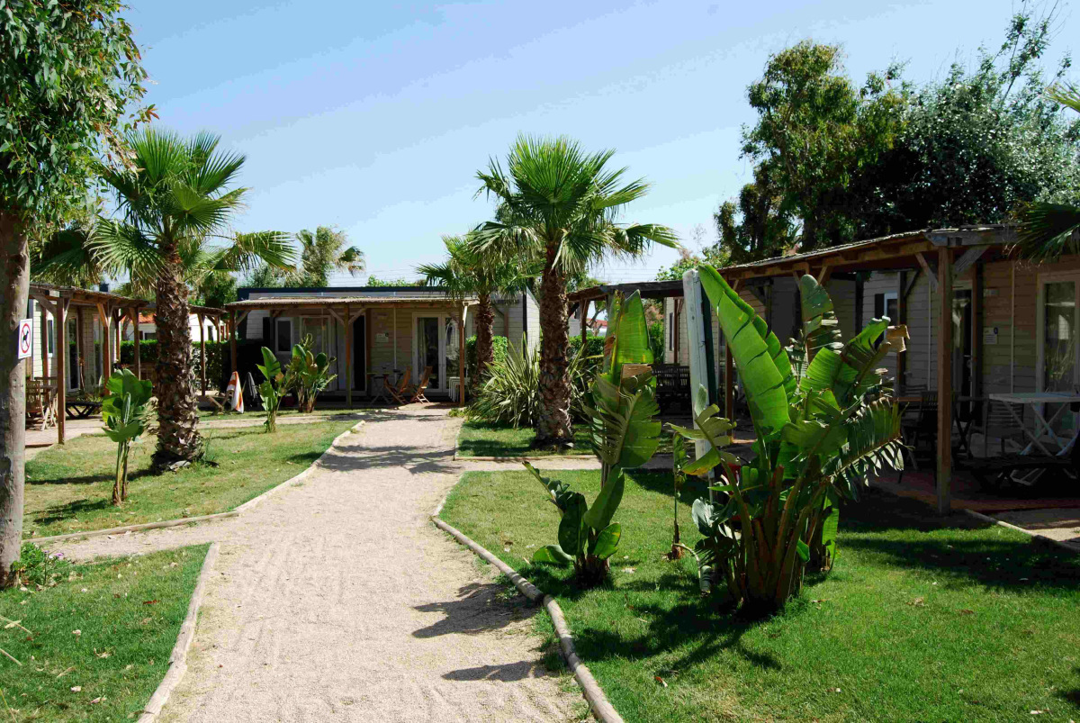 Taiga Delta de l'Ebre Costa Dorada - L'Ampolla visuel 1/16