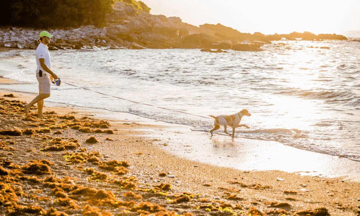 Atlantica Aquitanien - Saint-Jean-de-Luz visuel 11/12