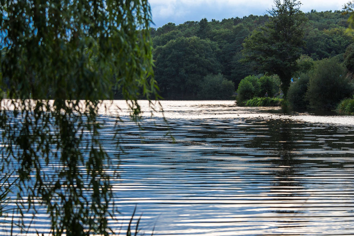Au Gré des Vents Bretagne - Rochefort-en-Terre visuel 13/13