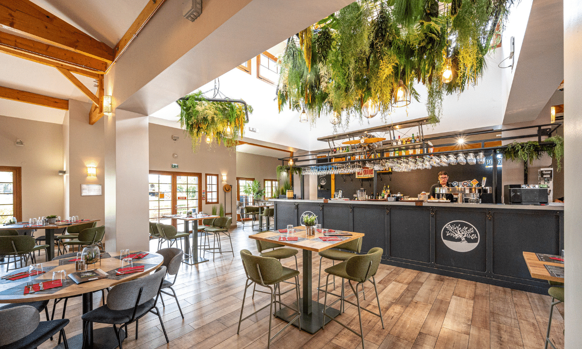 Au Lac de Biscarrosse Aquitanien - Parentis-en-Born visuel 13/18