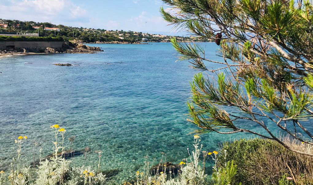 Au Paradis des Campeurs Provence-Alpes-Côte d'Azur - Roquebrune-sur Argens visuel 2/17 Au Paradis des Campeurs Provence-Alpes-Côte d'Azur - Roquebrune-sur Argens visuel 2/17